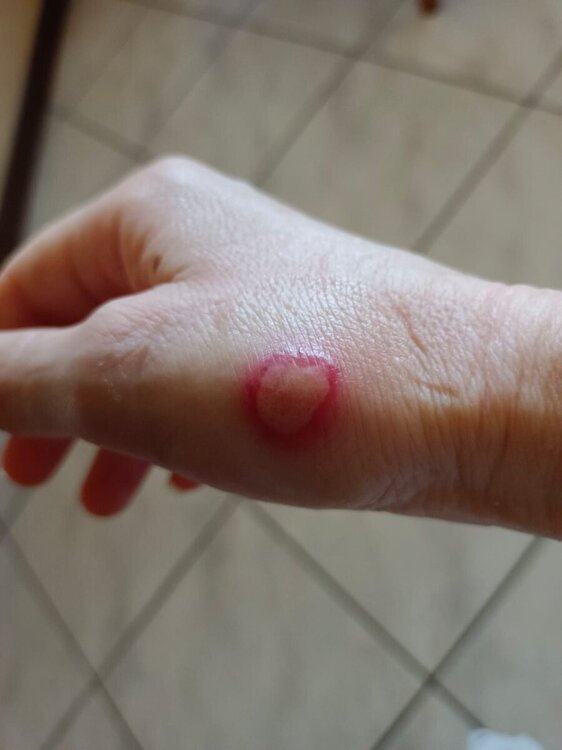 Silvia_mano_1.jpg