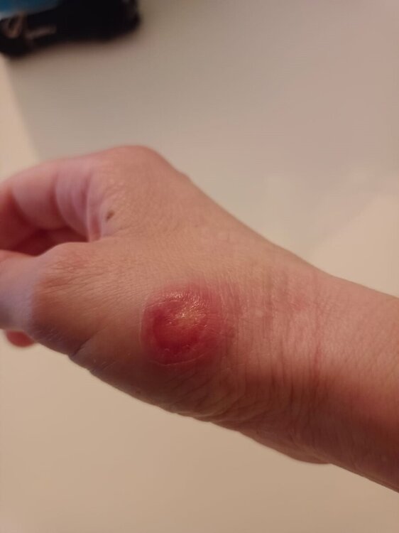 Silvia_mano_2.jpg