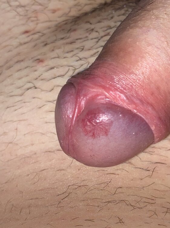image.jpg
