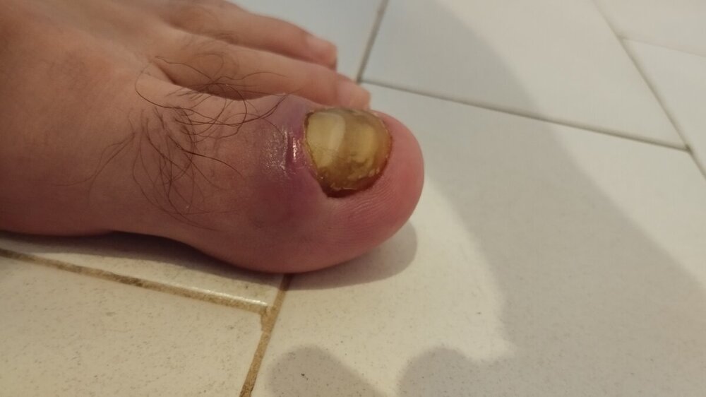 2.thumb.jpg.e6d9e08958823d284409815abee63f01.jpg
