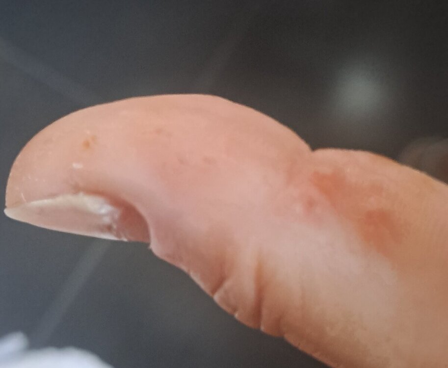 20240804_085518.thumb.jpg.f4e2010a78974c9f409f97e552acdbd8.jpg