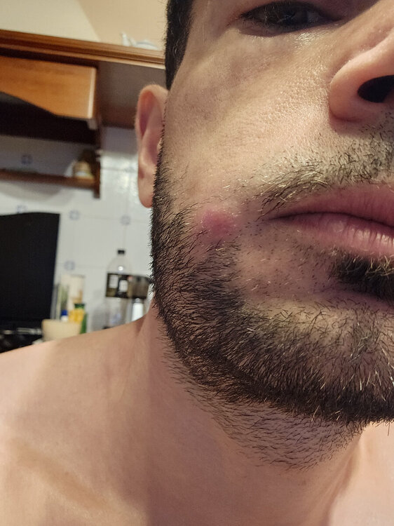 20240804_201323.jpg