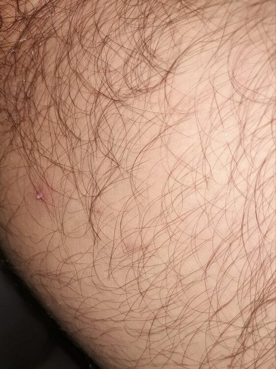 20240807_120632.jpg