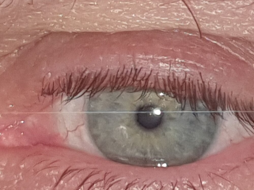 20240810_014712.jpg