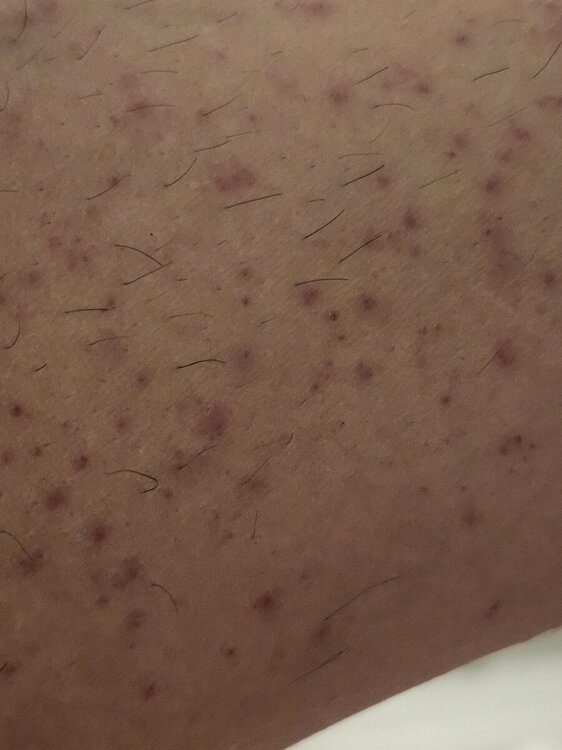 20240815_234140.jpg