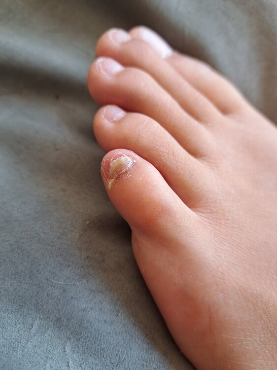 20240816_164703.jpg