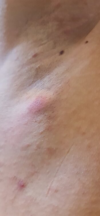 20240819_110151.jpg