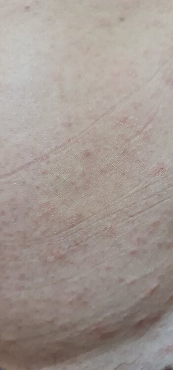 20240819_110321.jpg