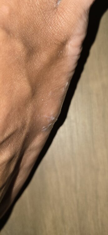 20240820_223057.jpg