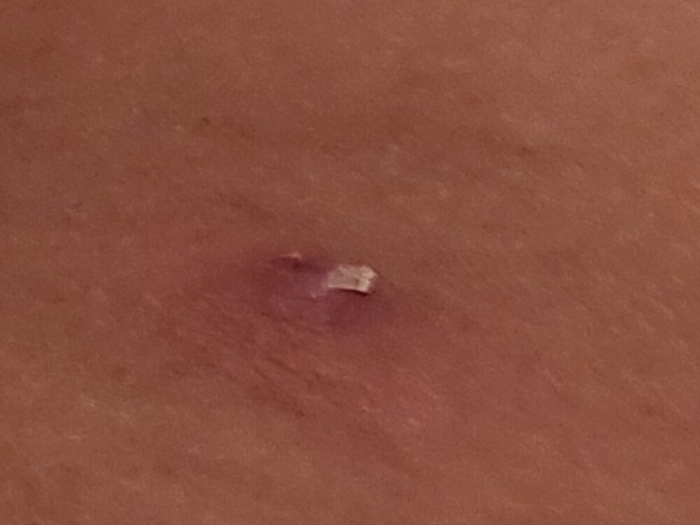 20240822_032434.jpg