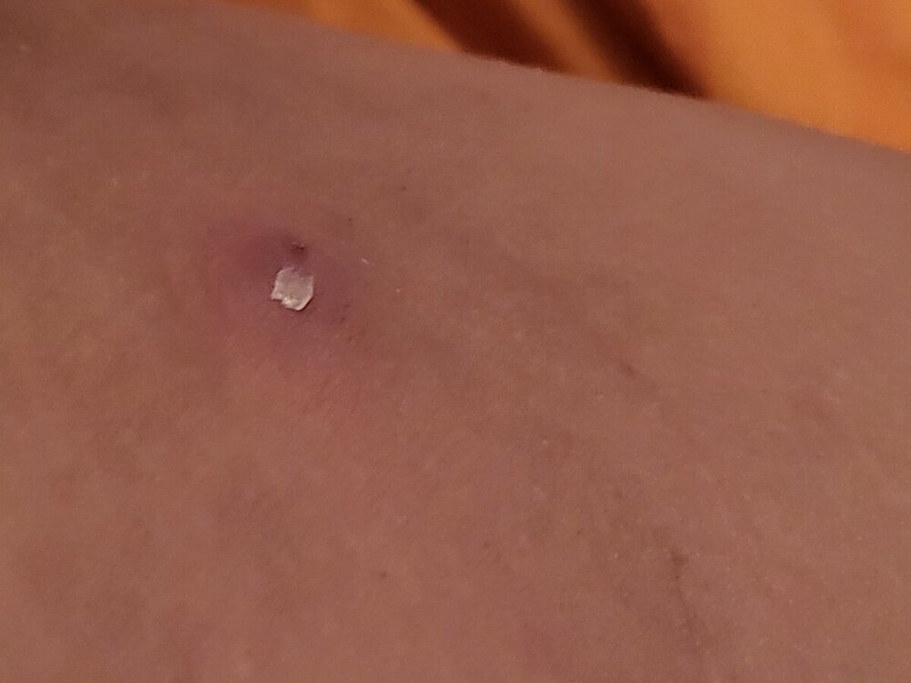 20240822_035400.jpg