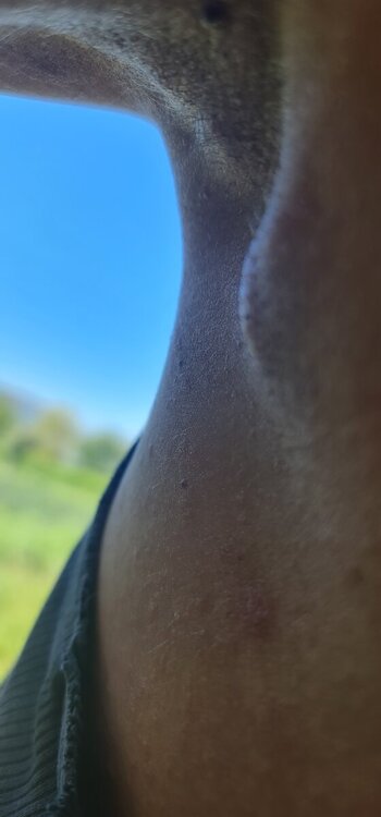 20240822_103307.jpg