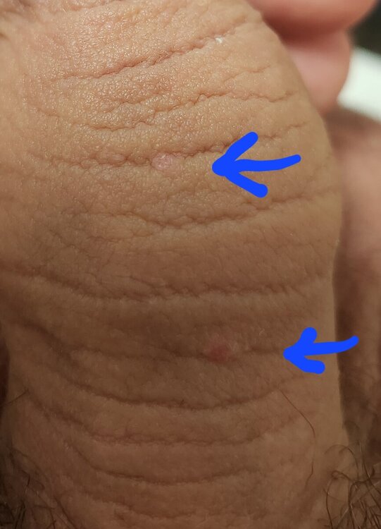 20240824_003056.jpg