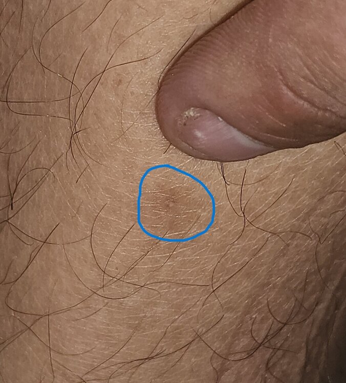 20240828_182655.jpg