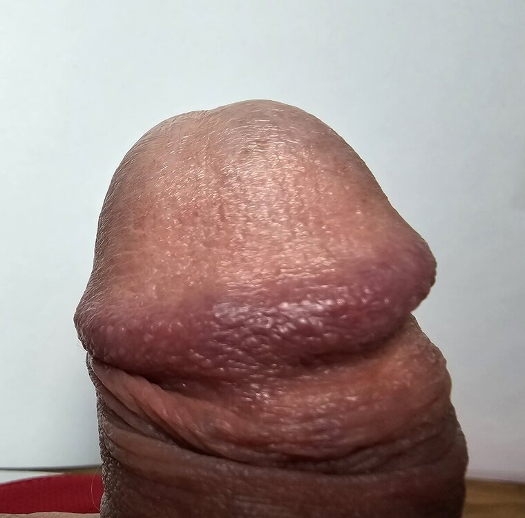 20240829_112210.jpg