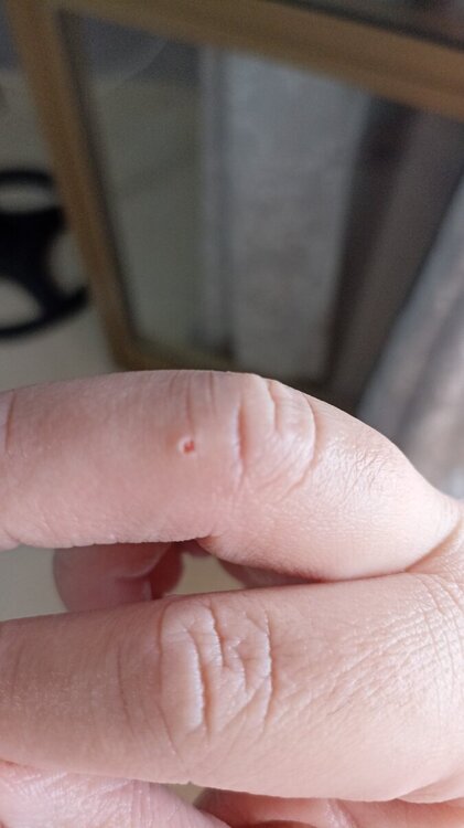 IMG-20240816-WA0025.jpeg