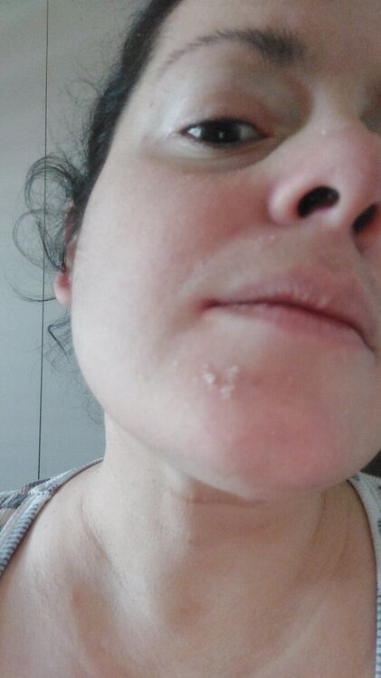 IMG-20240829-WA0026.jpeg