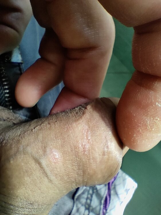 IMG20240822105015.jpg