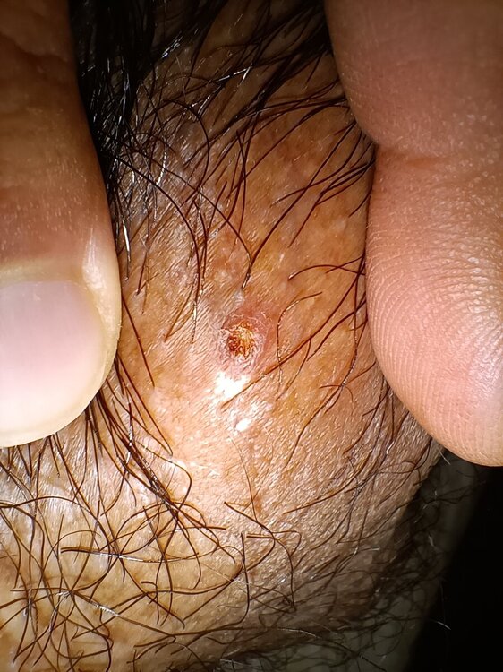 IMG20240824111344.jpg