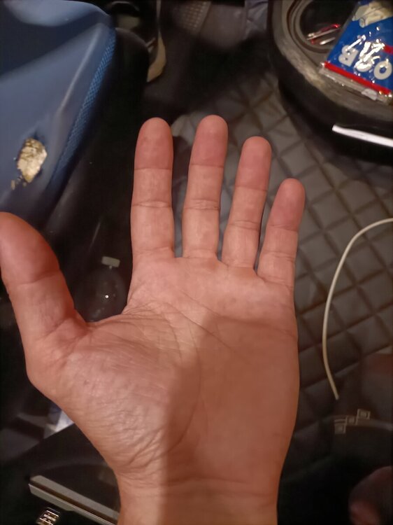 IMG20240827205933.jpg