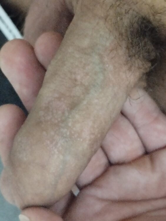 IMG_20240816_160943.thumb.jpg.80b13ee5af750a410559550830da9507.jpg