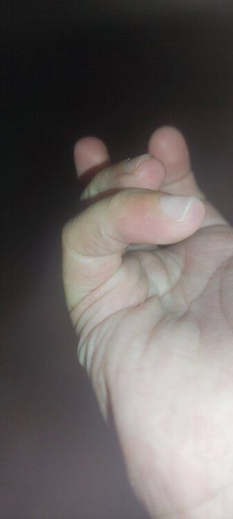 IMG_20240819_201209.jpg