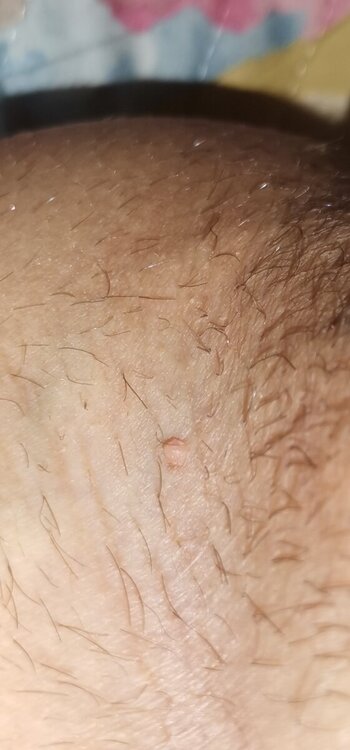 IMG_20240819_212031.jpg
