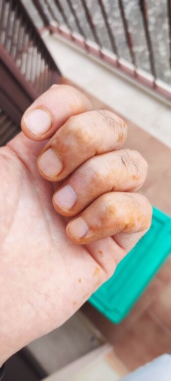 IMG_20240822_090552.jpg