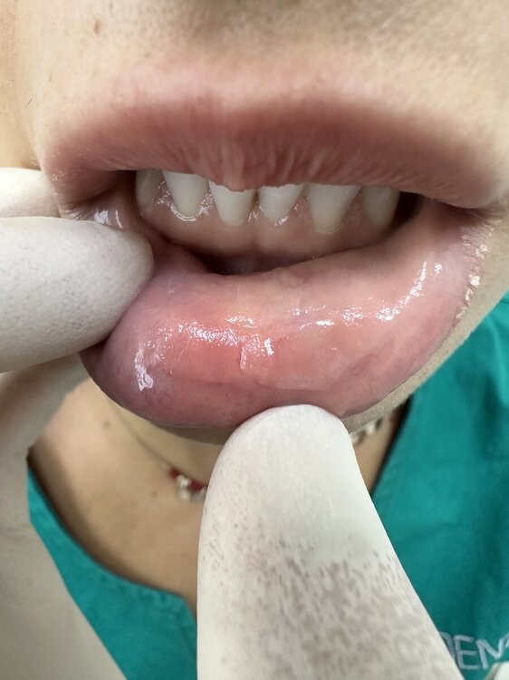 IMG_3562.jpeg