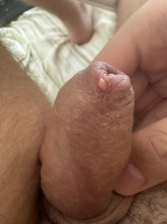 IMG_5137.jpeg