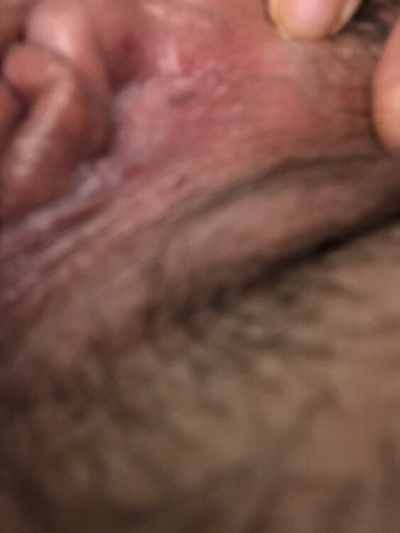 IMG_5981.jpeg
