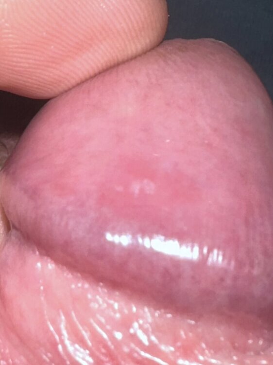 IMG_7159.thumb.jpeg.e22c3cd6a2258c4b64e9dac60fe5667f.jpeg