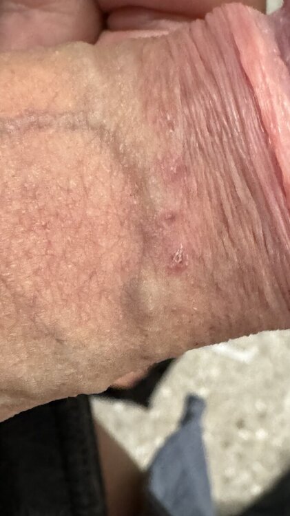 IMG_7188.jpeg