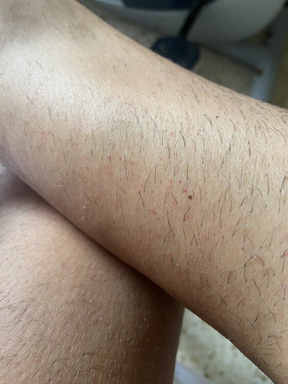 IMG_9772.jpeg