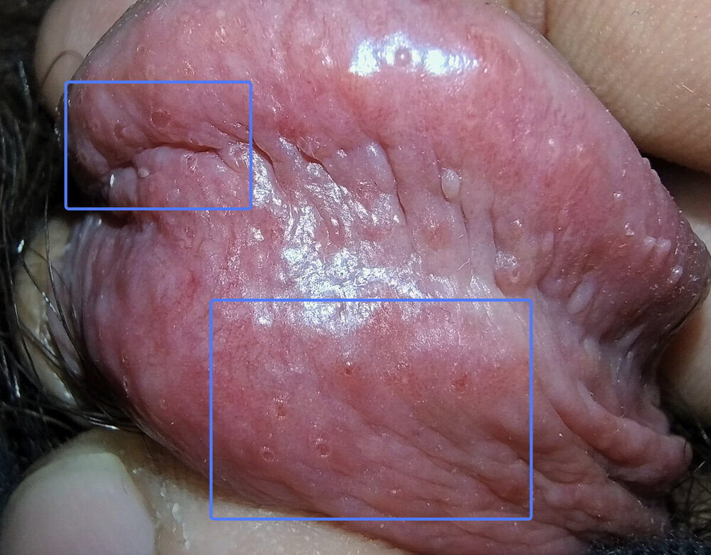 vesc1.thumb.jpg.226663eb411ddb6c12db727e2ff0a5e6.jpg