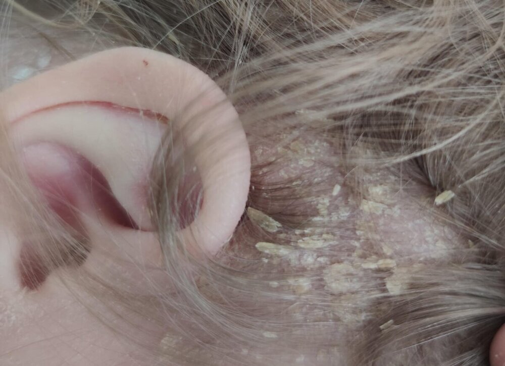 WhatsApp Image 2024-09-22 at 22.19.12.jpeg