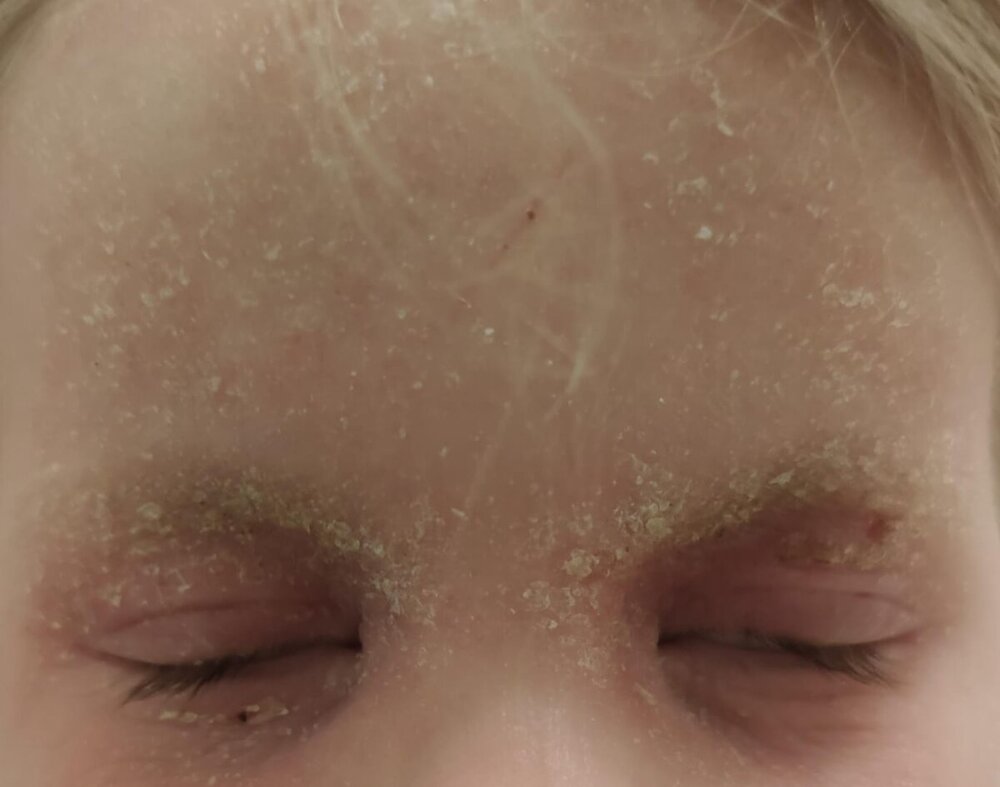 WhatsApp Image 2024-09-22 at 22.18.17.jpeg