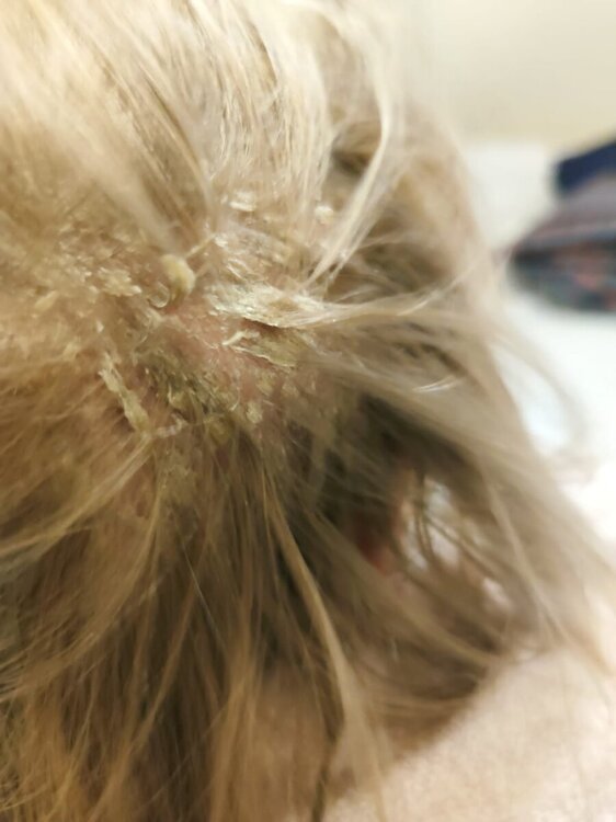 WhatsApp Image 2024-09-22 at 22.18.51 (2).jpeg