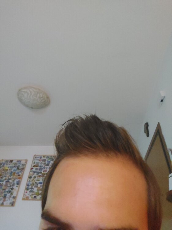 17257306777161672912666665043897.thumb.jpg.d22111d12d3d493c8e621e8b81c39996.jpg