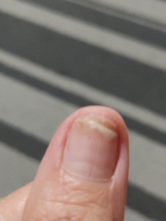17271195799055809855510140642975.thumb.jpg.68b73908828f8e6a2efdbca33469bec2.jpg