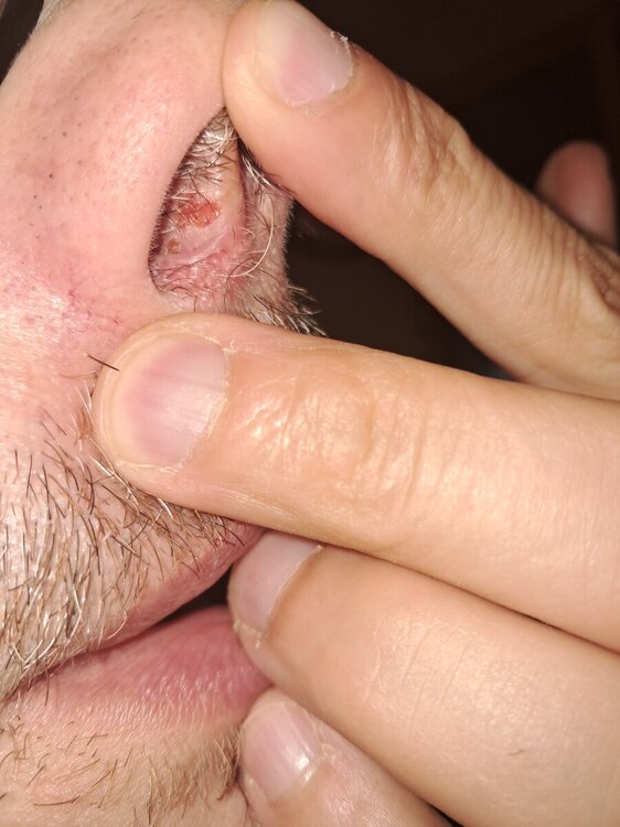 17273570719817473187271839520690.thumb.jpg.423c76f3482d892fed60fac177961944.jpg