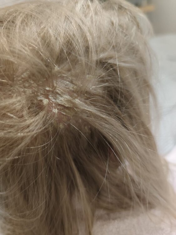 WhatsApp Image 2024-09-22 at 22.18.51 (1).jpeg