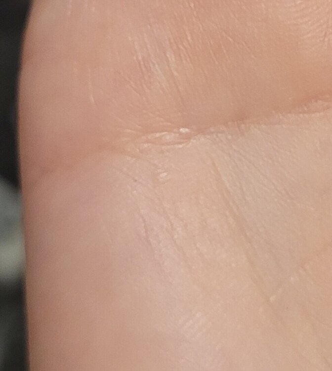 20240907_121251.jpg
