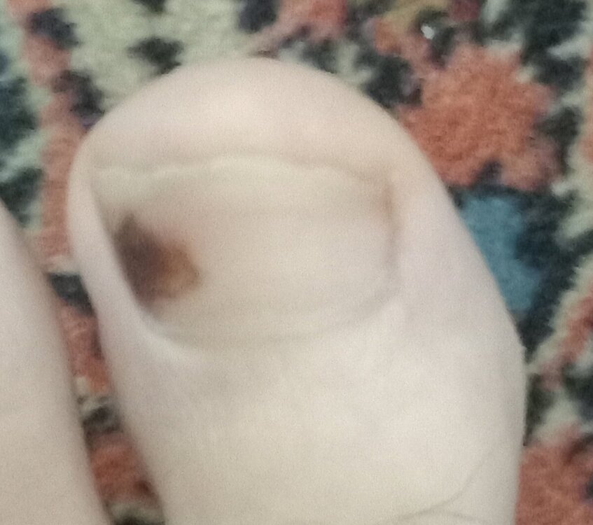 20240917_202323.jpg