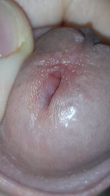 20240918_121422.jpg