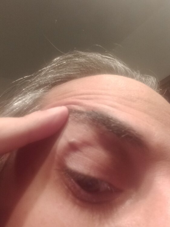 20240921_085741.thumb.jpg.4f7686d3675839fc17e391a78535af3a.jpg