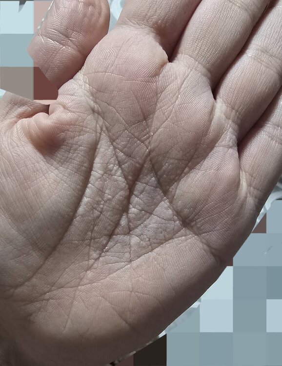 20240927_194437.jpg