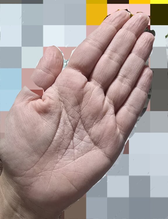 20240927_194440.jpg