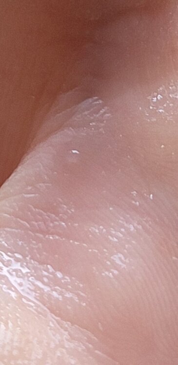 20240928_090423.jpg