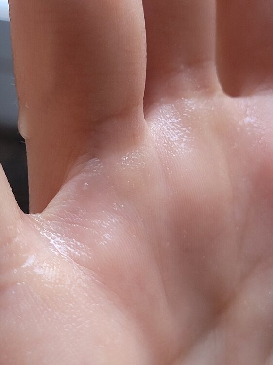 20240928_090423.thumb.jpg.597233403328535917a6c20830c61e77.jpg